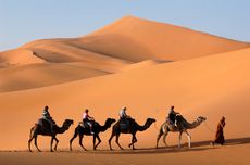 caravane dans le désert